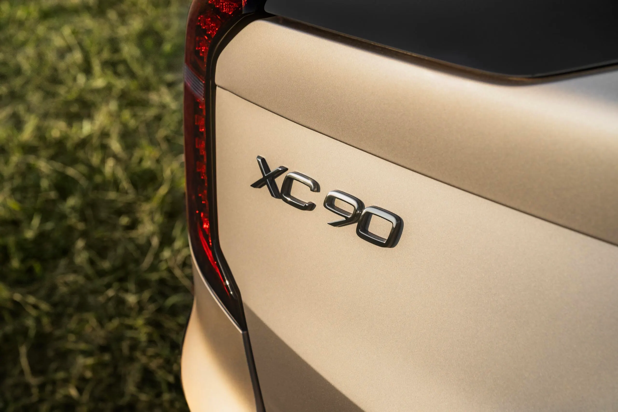 Créditos da Foto: Divulgação